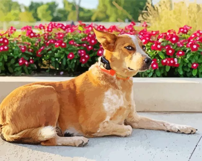 Red Heeler and pink flowers Diamond Paintings Red Heeler And Pink Flowers Diamond Painting