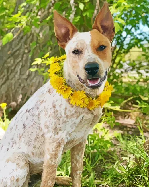 Red Heeler and yellow flowers Diamond Paintings Red Heeler And Yellow Flowers Diamond Painting