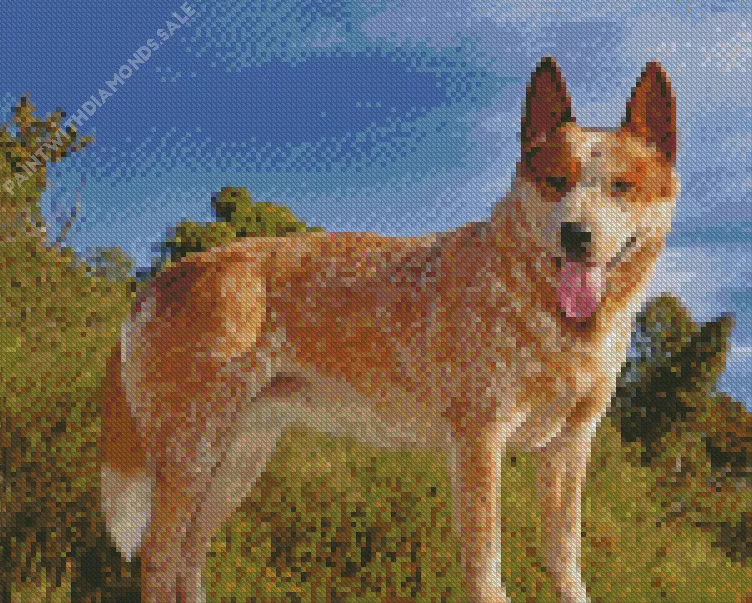 Red Heeler dog Diamond Dotz Red Heeler Dog Diamond Painting