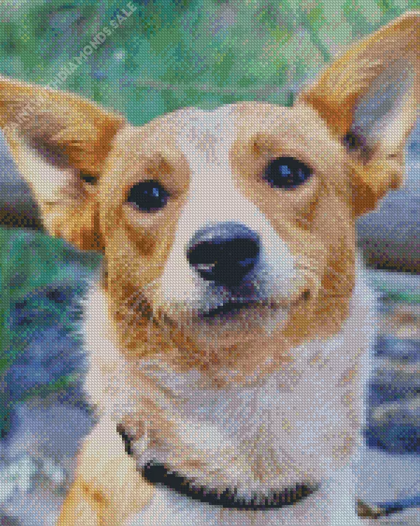 Red Heeler head Diamond Dotz Red Heeler Head Diamond Painting