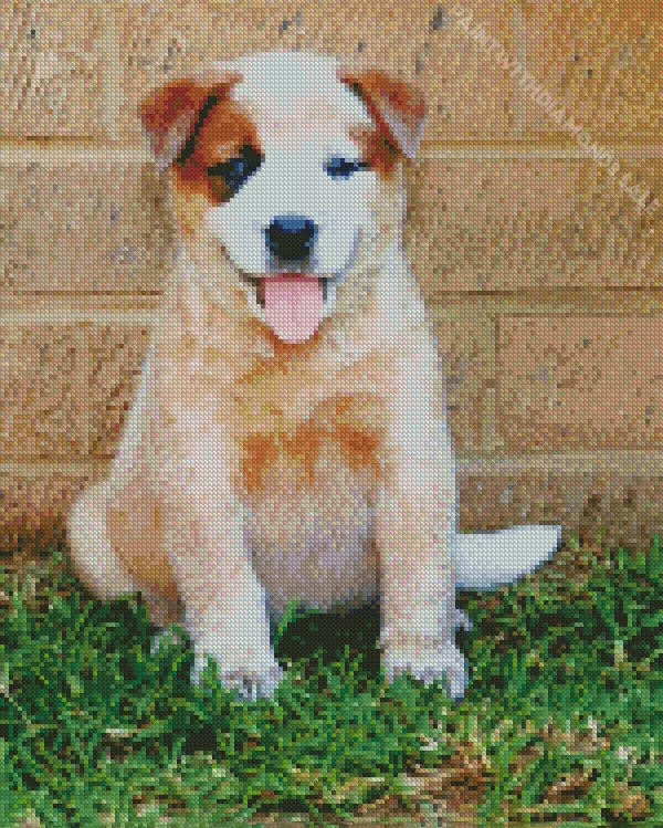 Red Heeler puppy Diamond Dotz Red Heeler Puppy Diamond Painting
