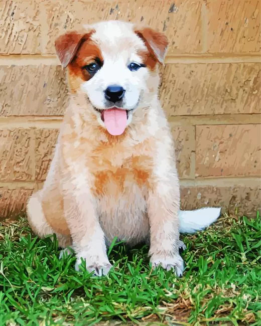 Red Heeler puppy Diamond Paintings Red Heeler Puppy Diamond Painting