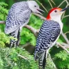 Red Crowned Woodpecker Diamond Painting