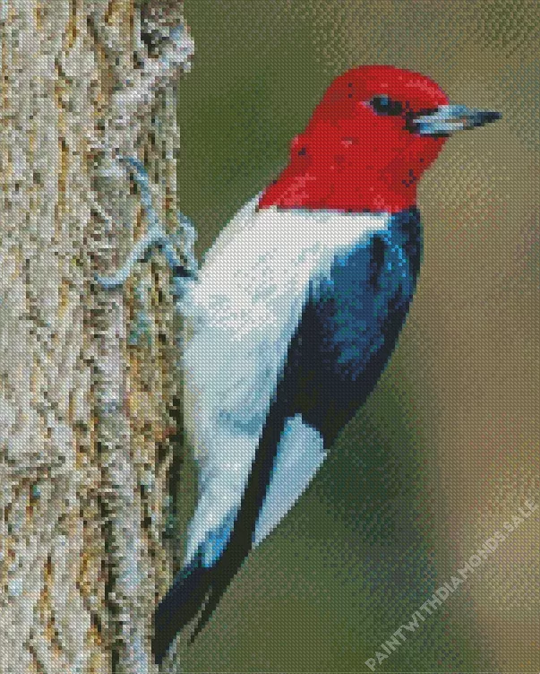 Red headed woodpecker Diamond By Numbers Red Headed Woodpecker Diamond Painting