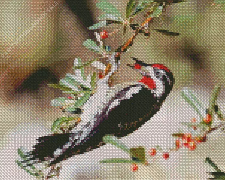Red naped sapsucker Diamond By Numbers Red Naped Sapsucker Diamond Painting