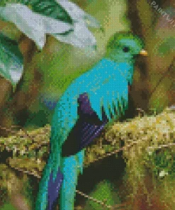 Resplendent Quetzal Bird Diamond Painting