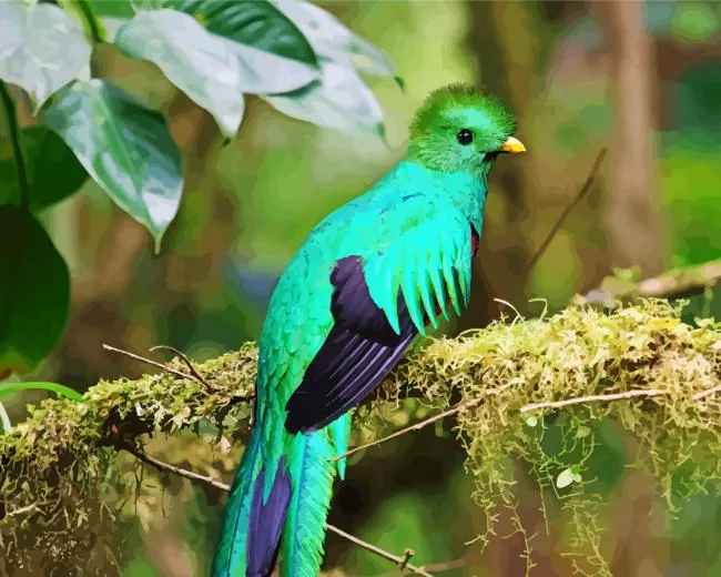 Resplendent Quetzal Bird Diamond Paintings Resplendent Quetzal Bird Diamond Painting