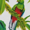 Resplendent Quetzal Bird Art Diamond Painting