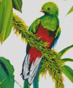 Resplendent Quetzal Bird Art Diamond Painting
