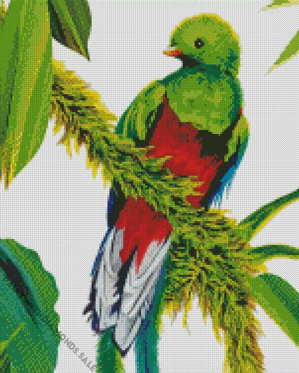 Resplendent Quetzal Bird art Diamond Dotz Resplendent Quetzal Bird Art Diamond Painting