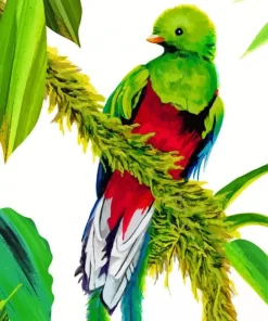 Resplendent Quetzal Bird Art Diamond Painting