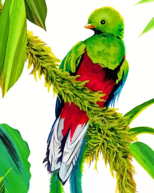 Resplendent Quetzal Bird art Diamond Paintings Resplendent Quetzal Bird Art Diamond Painting