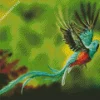 Resplendent Quetzal Bird Flying Diamond Painting