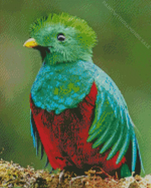 Resplendent Quetzal Diamond Dotz Resplendent Quetzal Diamond Painting
