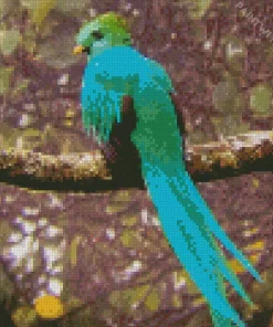 Resplendent Quetzal Diamond Painting
