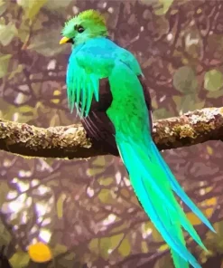 Resplendent Quetzal Diamond Painting
