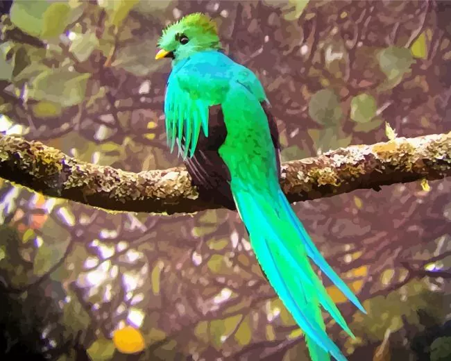 Resplendent Quetzal Diamond Paintings Resplendent Quetzal Diamond Painting