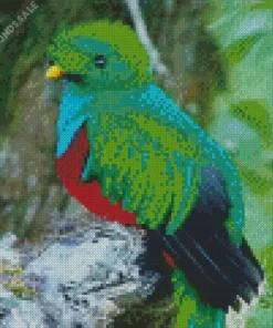 Resplendent Quetzal Close Up Diamond Painting