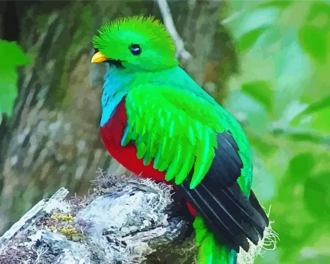 Resplendent Quetzal close up Diamond Paintings Resplendent Quetzal Close Up Diamond Painting