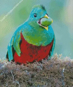 Resplendent Quetzal Eating Diamond Painting