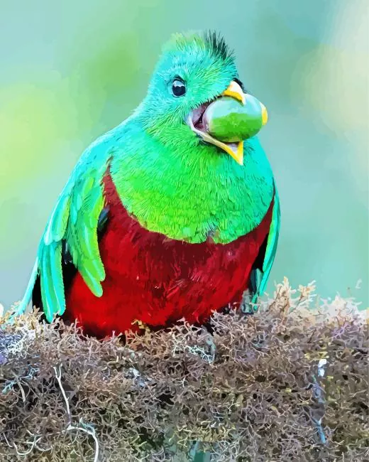 Resplendent Quetzal eating Diamond Paintings Resplendent Quetzal Eating Diamond Painting