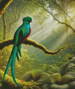 Resplendent Quetzal In A Forest Diamond Painting