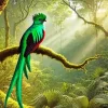 Resplendent Quetzal In A Forest Diamond Painting