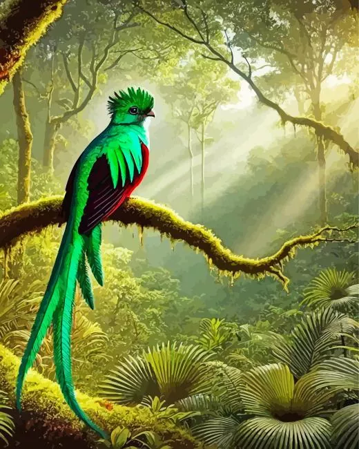 Resplendent Quetzal in a forest Diamond Paintings Resplendent Quetzal In A Forest Diamond Painting