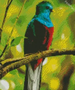 Resplendent Quetzal On A Branch Diamond Painting
