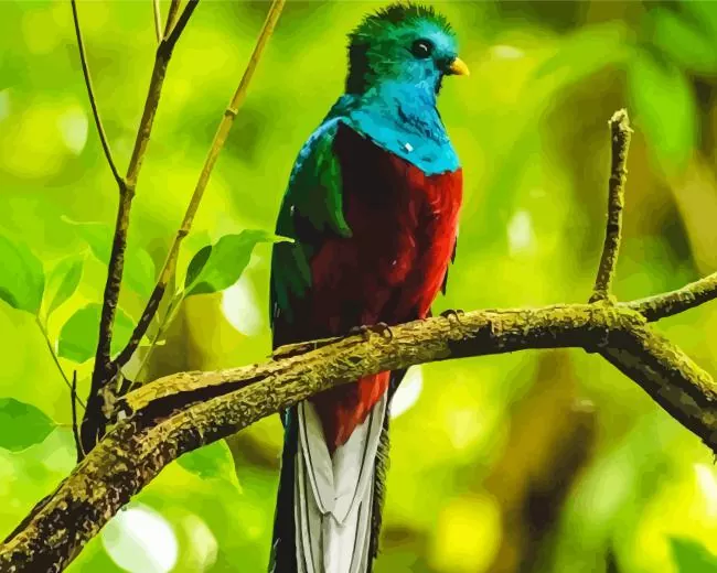 Resplendent Quetzal on a branch Diamond Paintings Resplendent Quetzal On A Branch Diamond Painting