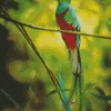 Resplendent Quetzal On A Stick Diamond Painting