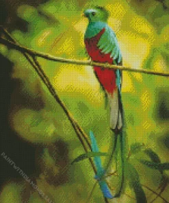 Resplendent Quetzal On A Stick Diamond Painting