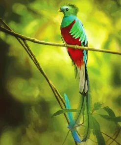 Resplendent Quetzal On A Stick Diamond Painting
