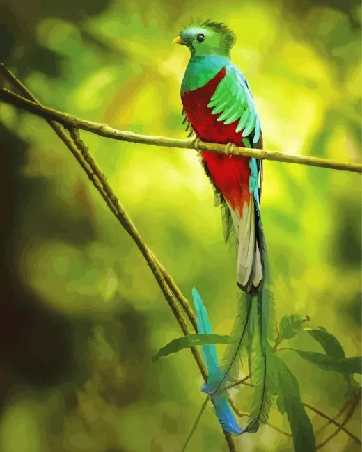 Resplendent Quetzal on a stick Diamond Paintings Resplendent Quetzal On A Stick Diamond Painting