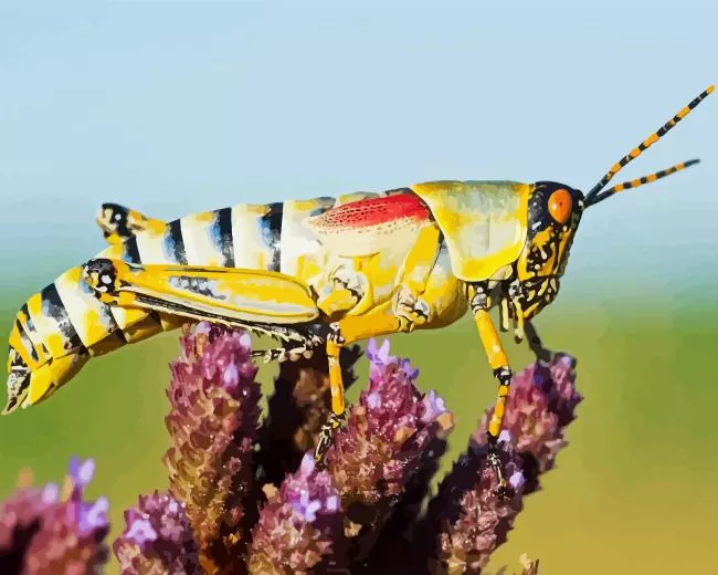 Rocky Mountain locust Diamond Paints Rocky Mountain Locust Diamond Painting