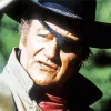 Rooster Cogburn True Grit Character Diamond Painting