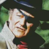 Rooster Cogburn True Grit Character Diamond Painting