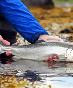 Salmon Fishing Diamond Painting