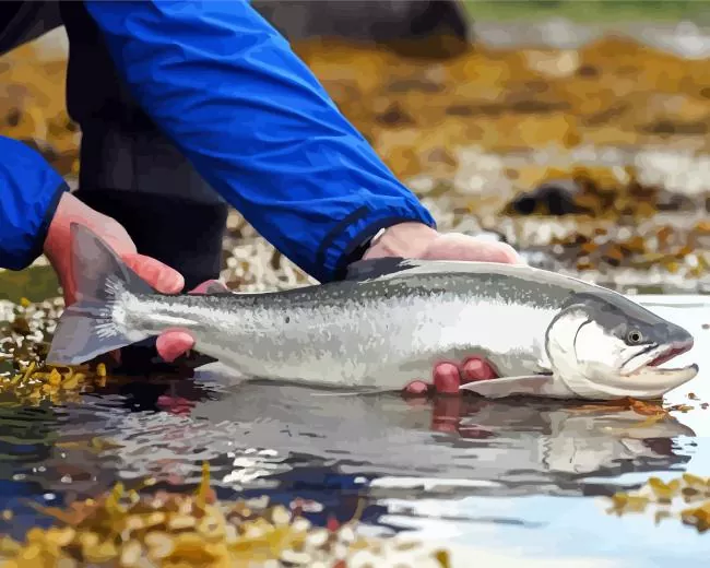 Salmon fishing Diamond Paints Salmon Fishing Diamond Painting