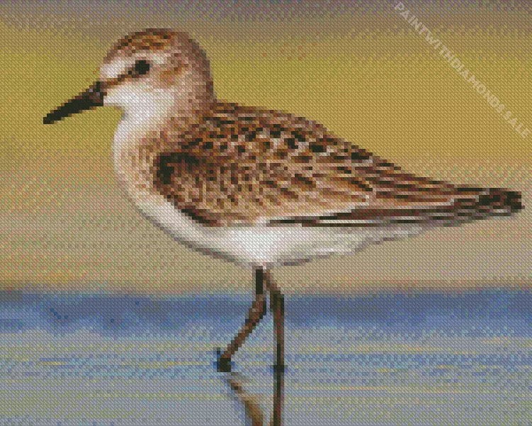 Sandpiper Diamond Dotz Sandpiper Diamond Painting