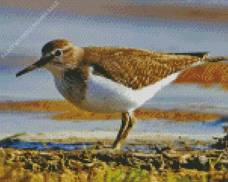Sandpiper bird Diamond Dotz Sandpiper Bird Diamond Painting