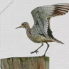 Sandpiper Flapping Wings Diamond Painting
