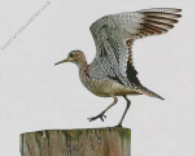 Sandpiper flapping wings Diamond Dotz Sandpiper Flapping Wings Diamond Painting