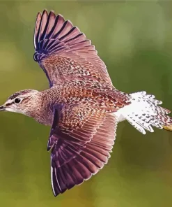 Sandpiper Flying Diamond Painting