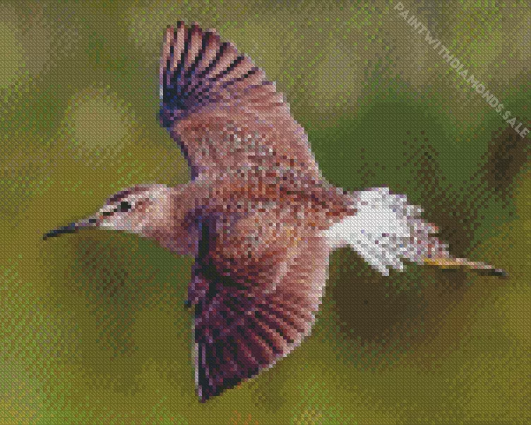 Sandpiper flying Diamond Dotz Sandpiper Flying Diamond Painting