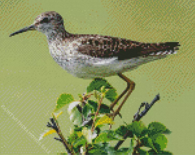Sandpiper on a branch Diamond Dotz Sandpiper On A Branch Diamond Painting