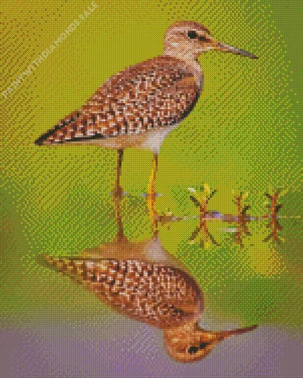 Sandpiper water reflection Diamond Dotz Sandpiper Water Reflection Diamond Painting