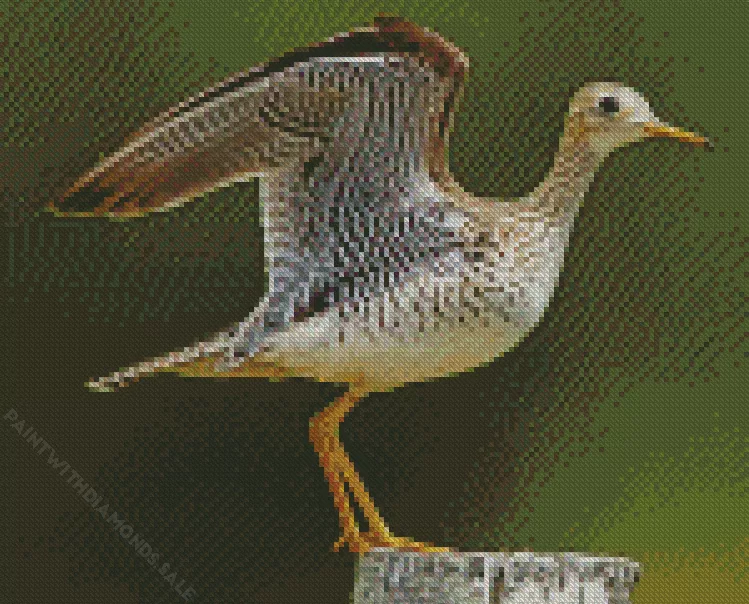 Sandpiper with big wings Diamond Dotz Sandpiper With Big Wings Diamond Painting