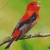 Scarlet Tanager Diamond Painting
