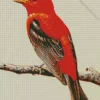 Scarlet Tanager Art Diamond Painting